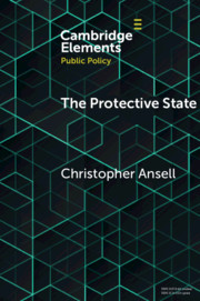 cover Ansell The Protective State
